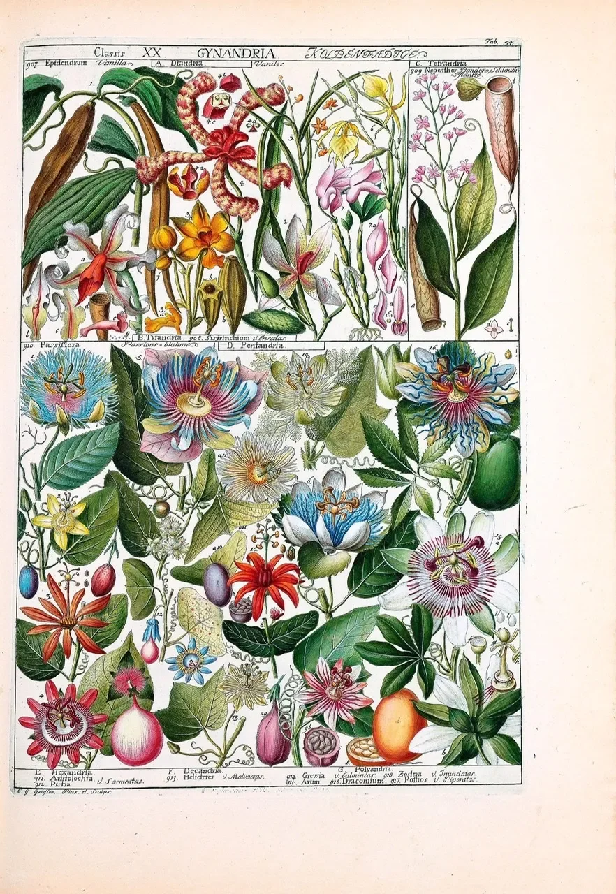 What to Do When Unschool Kids Have No Interest in Topics They’re Required to Learn