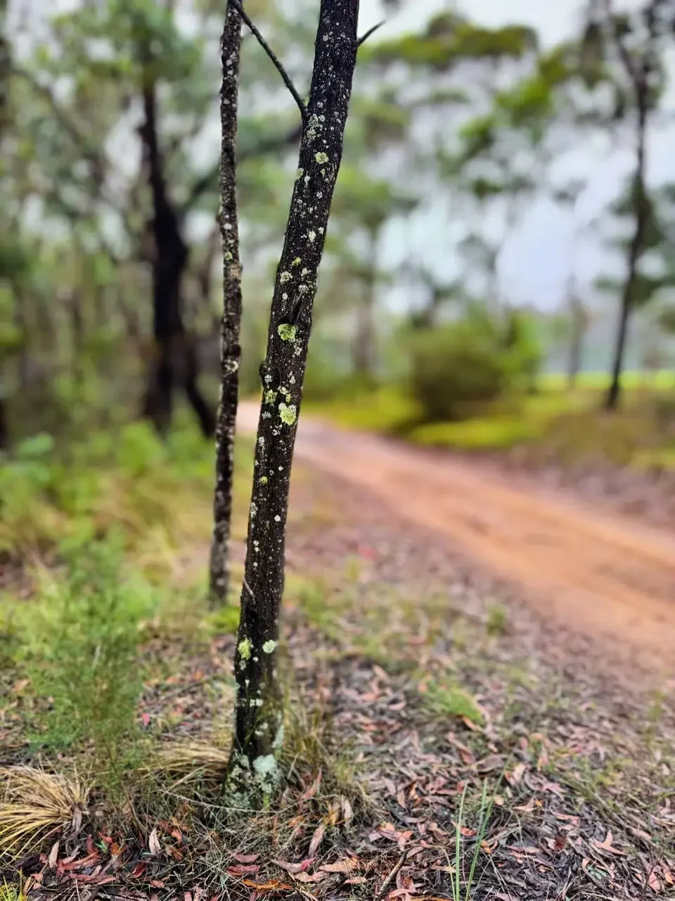 Is Trying to Impress Others a Waste of Time?