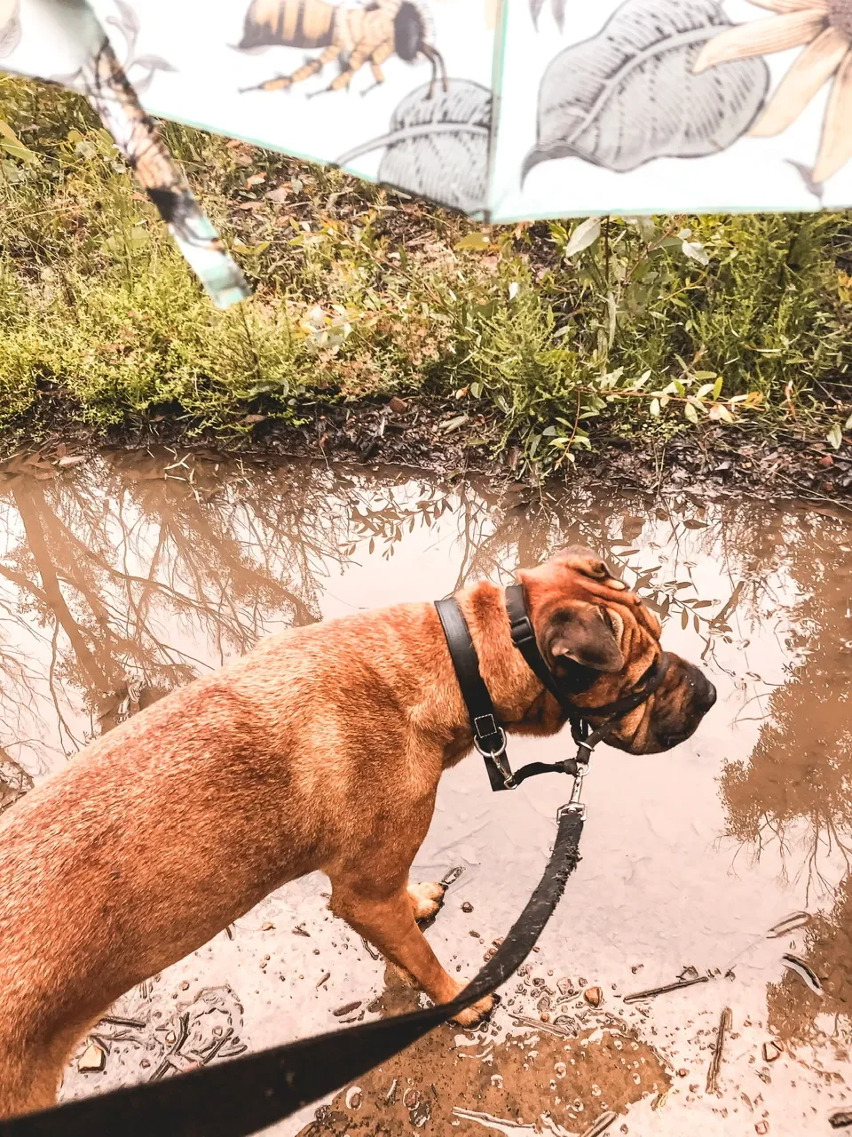 Trying Not to Complain