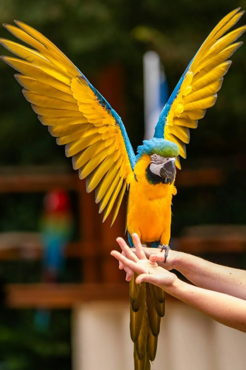 Resources for Unschoolers