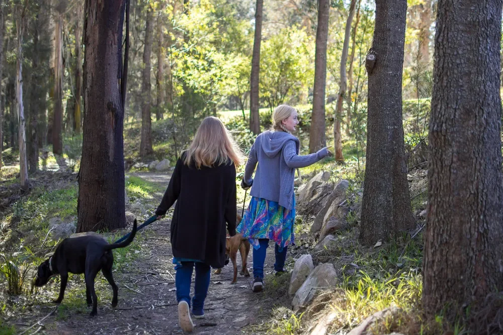 What if Your Right is My Wrong? Unschool Bits and Pieces