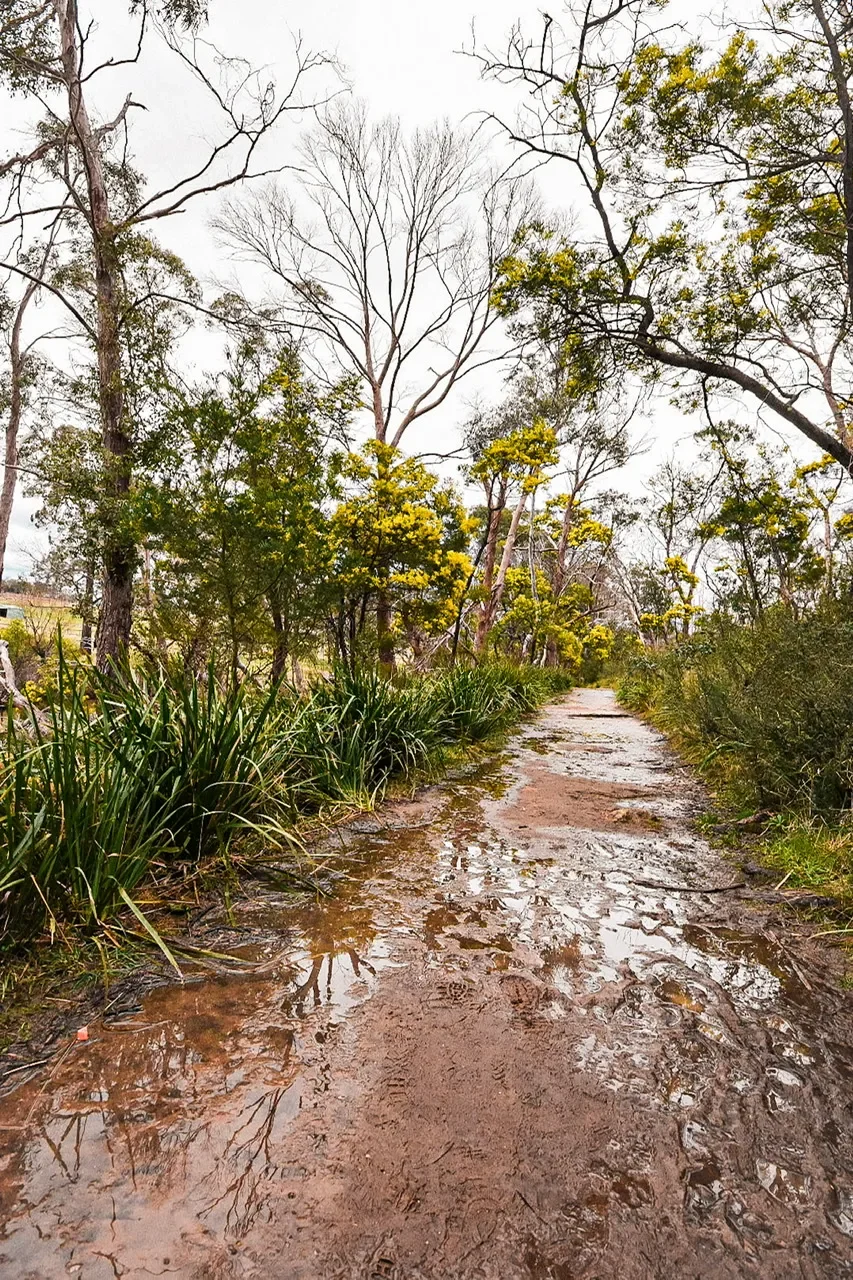 The Important People in Our Lives