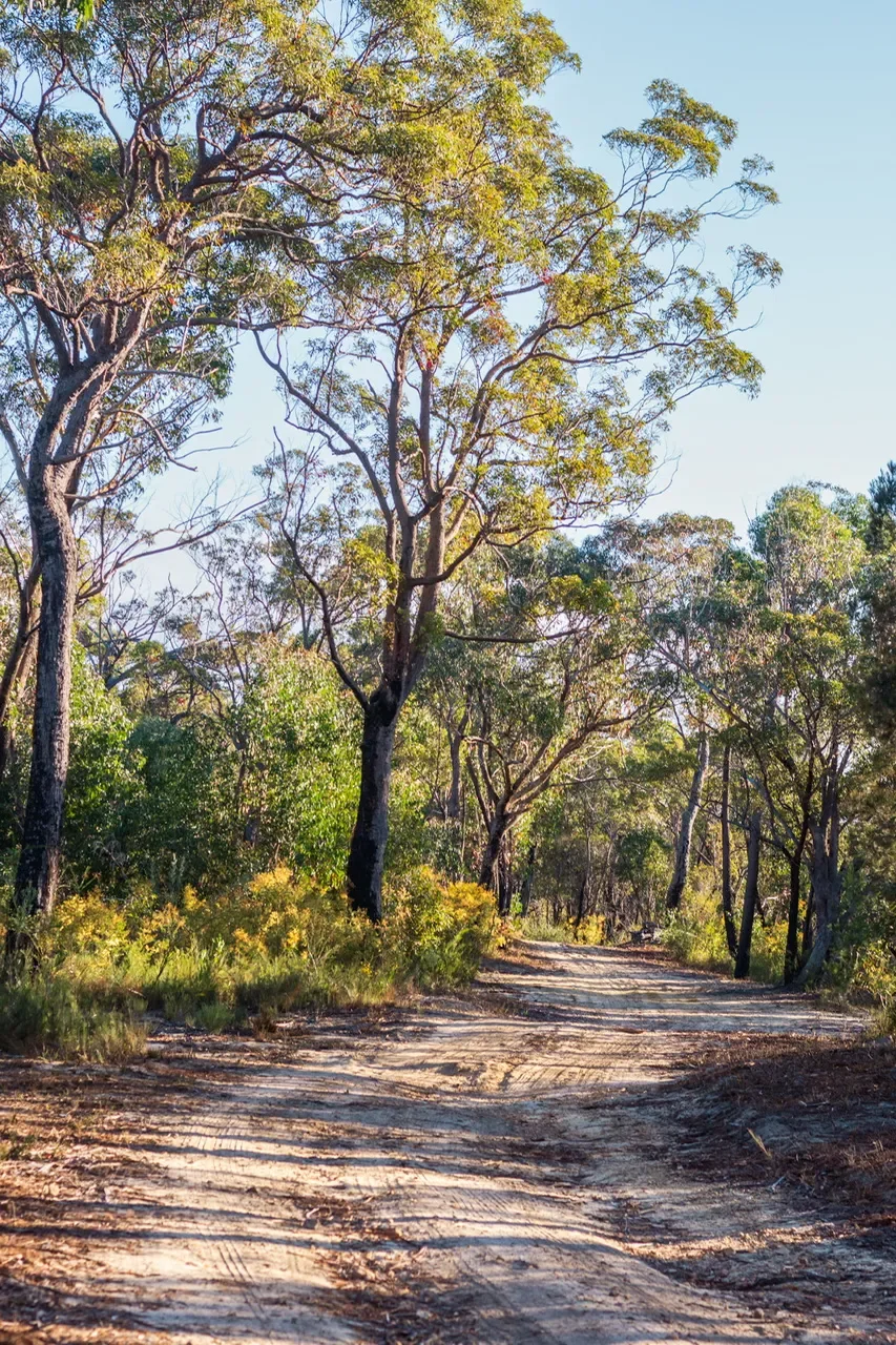 The Stories of Our Lives