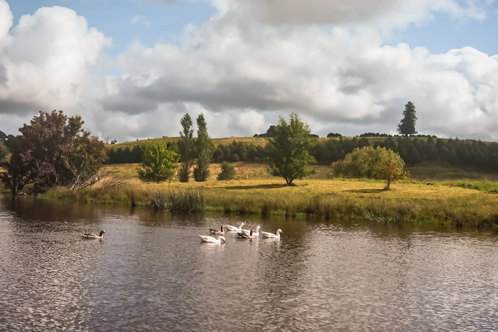 Do Beautiful Photos Fail to Tell the Whole Unschooling Story?