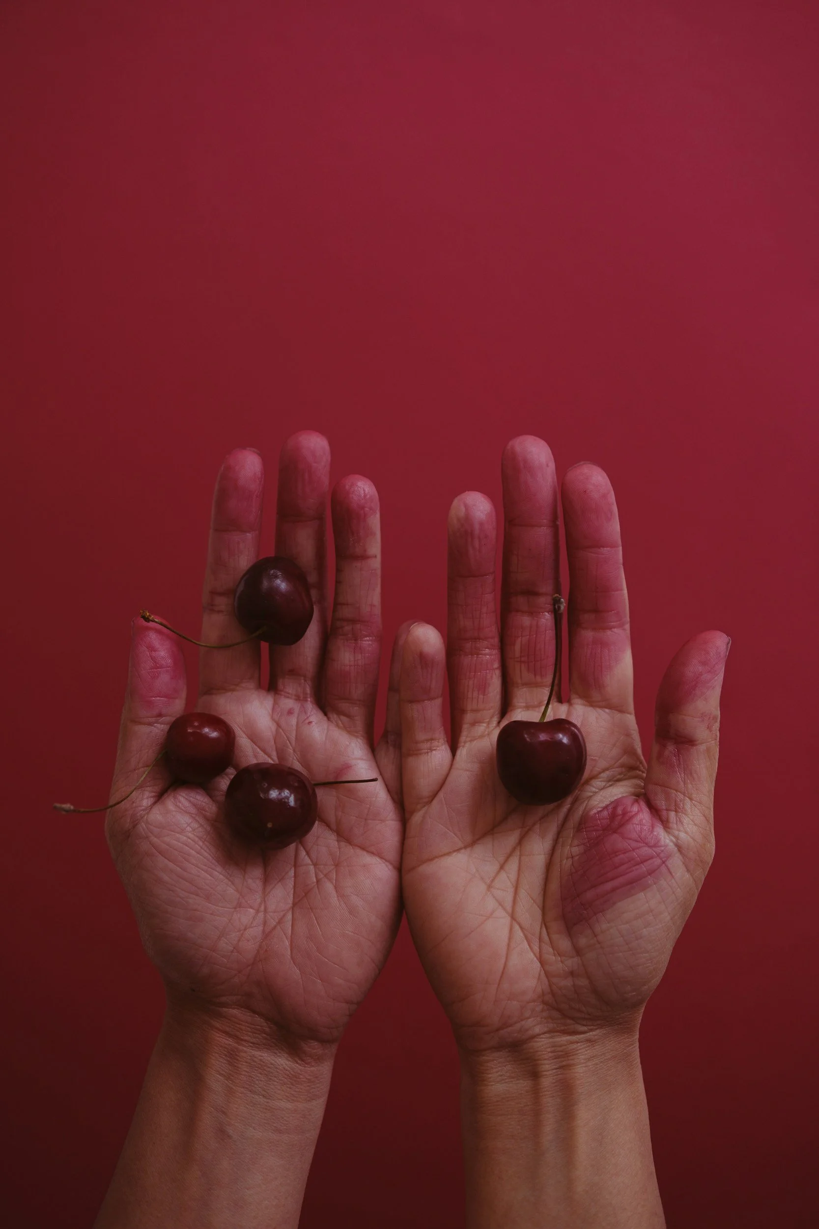Two hands facing upward with four cherries placed on them against a red background.