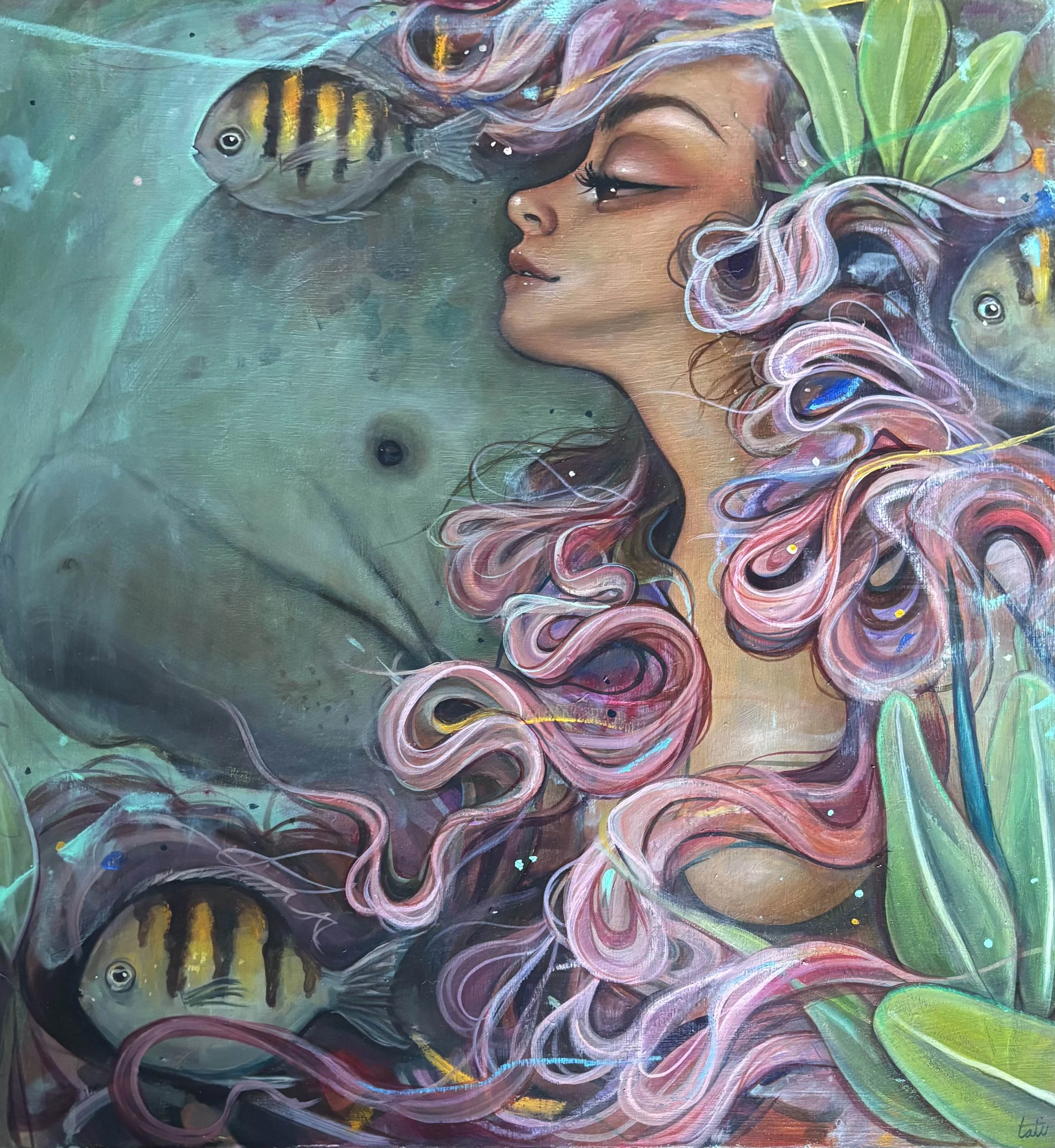 Mangrove and Manatees