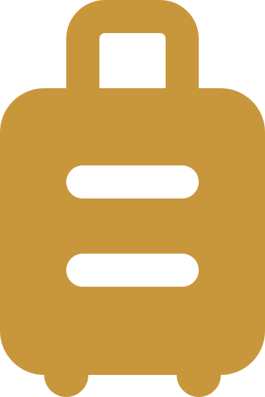 suitecase icon