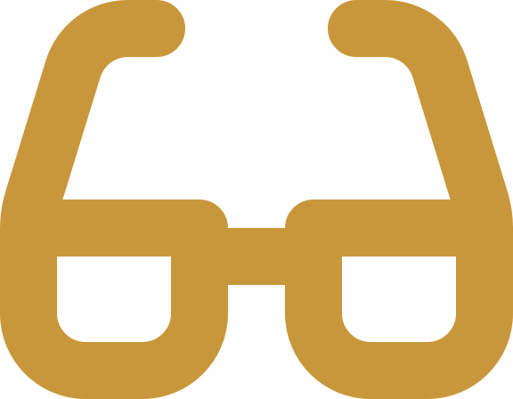 glasses icon