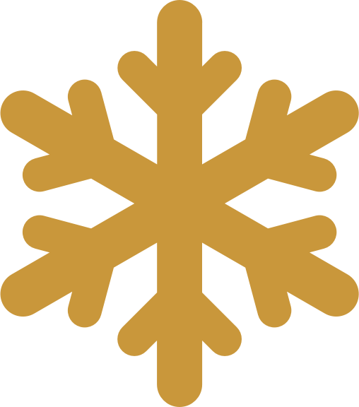 snowflake icon