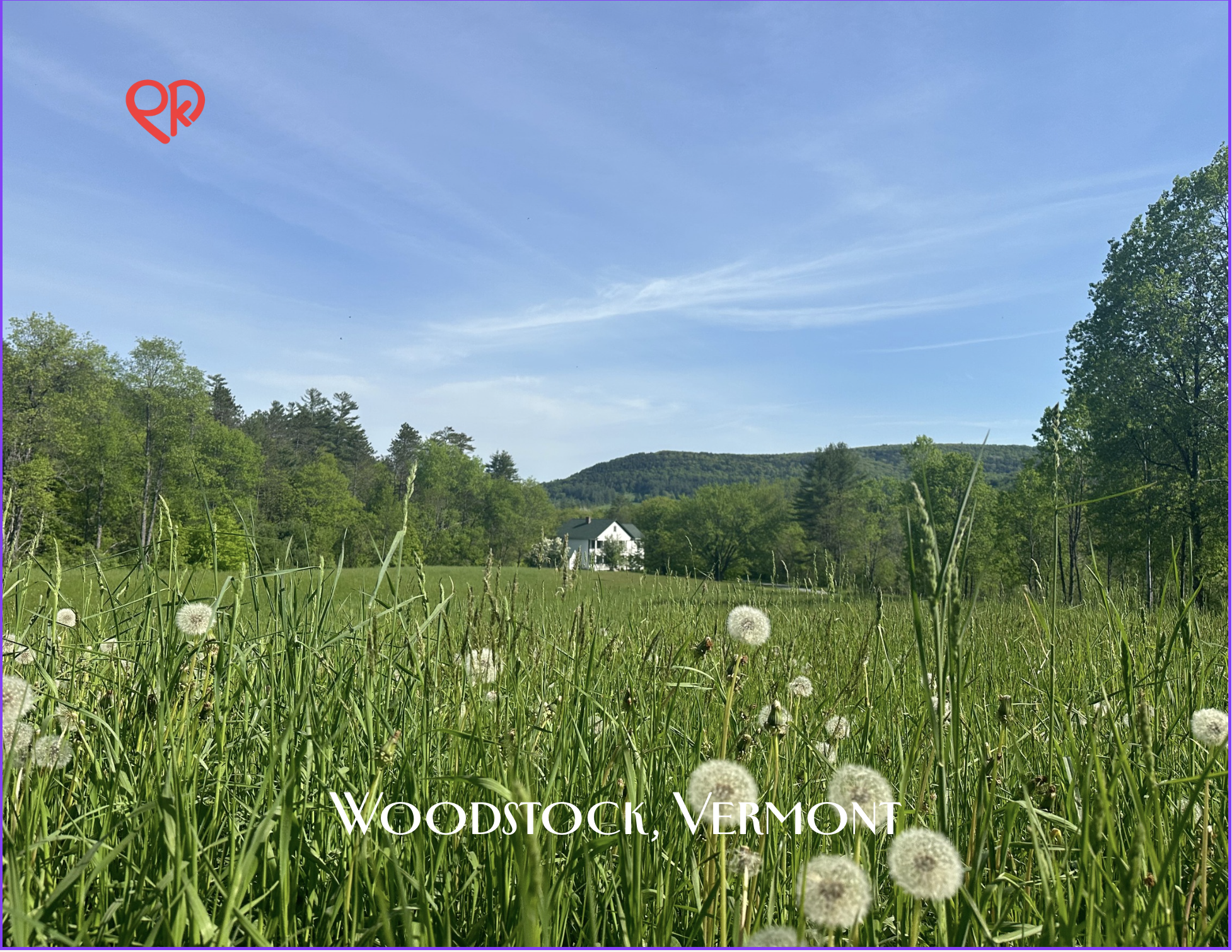 Dandelion Spring in Woodstock, VT 10pk