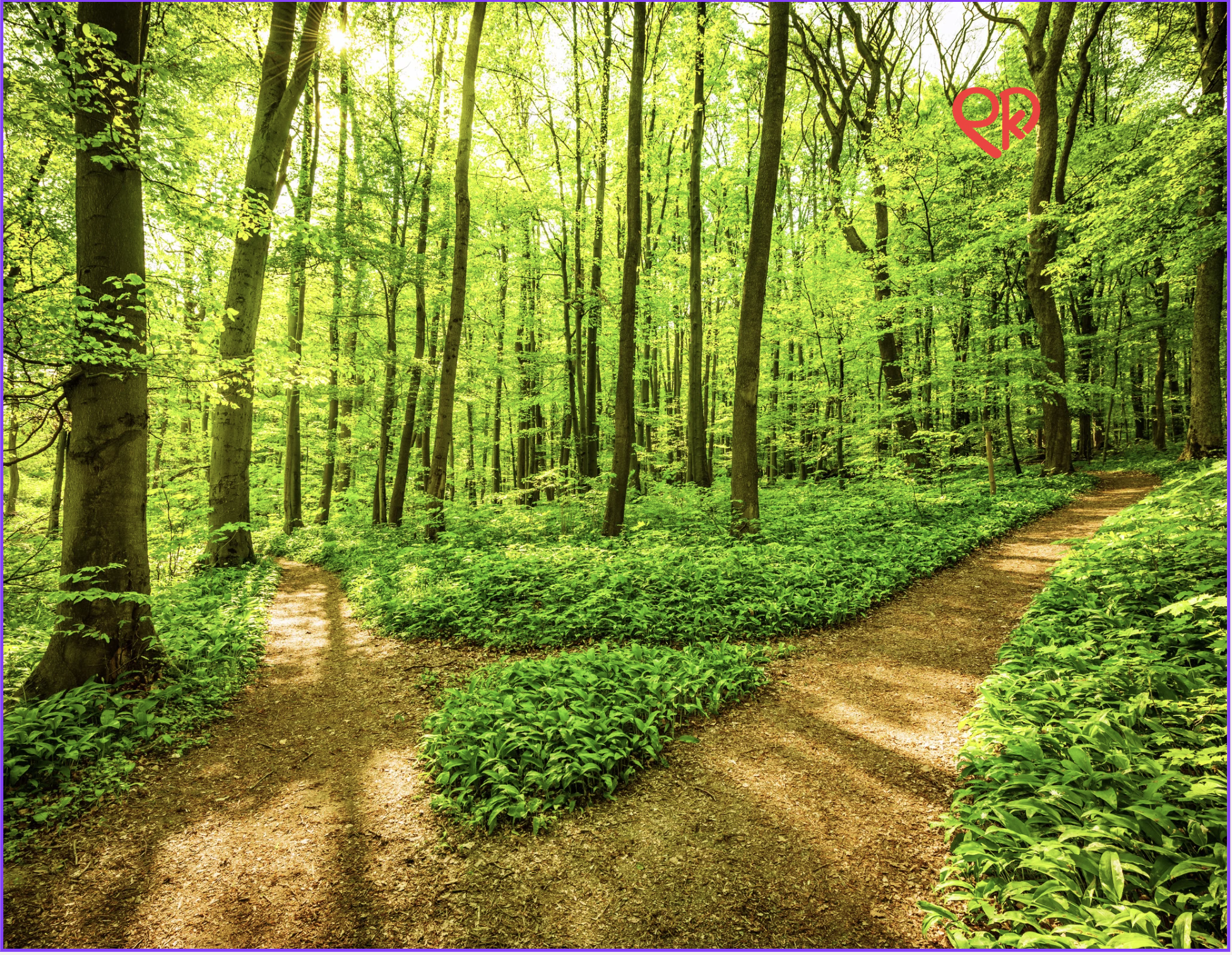 Wooded Pathways 10pk