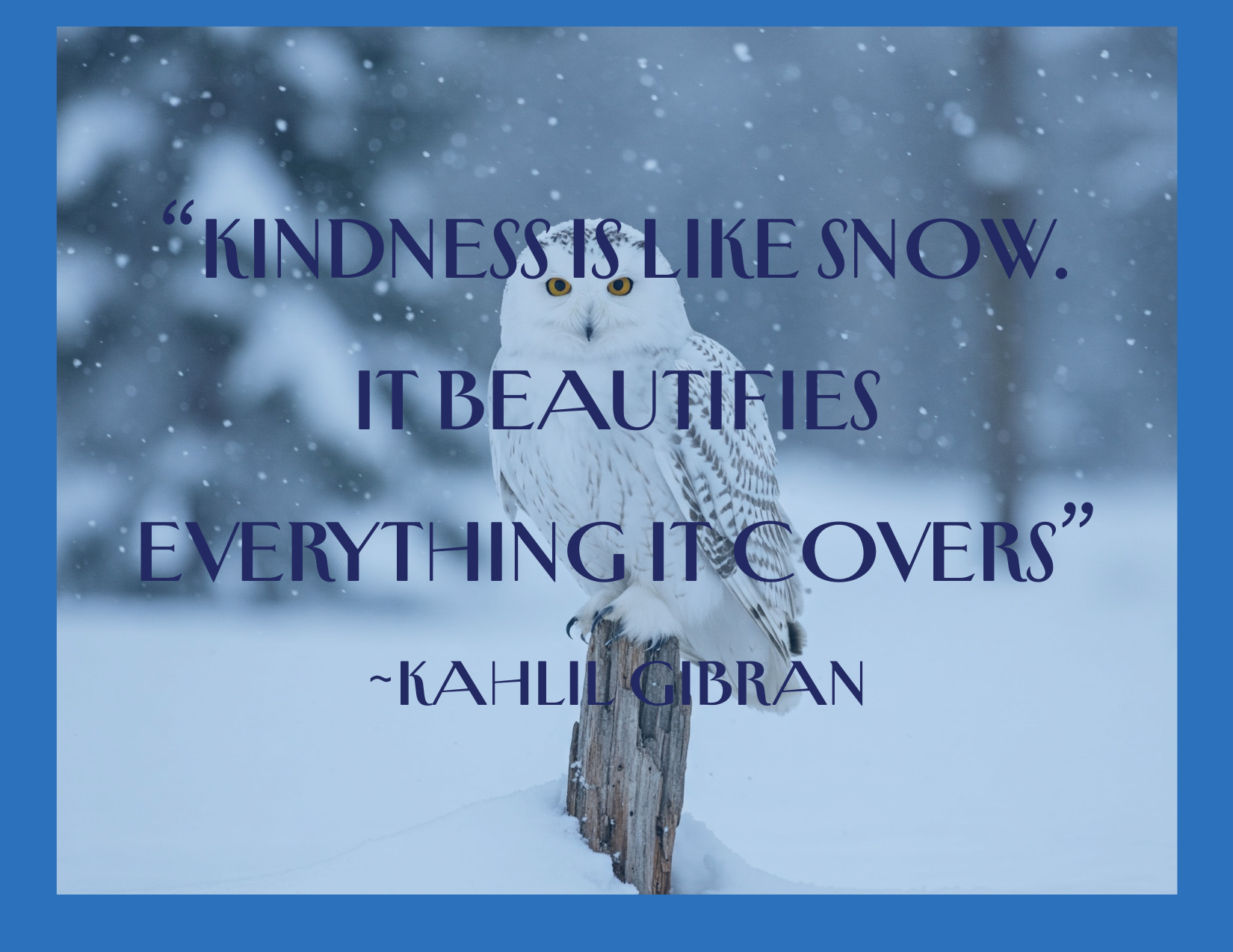 Kindness Is Like Snow 10pk