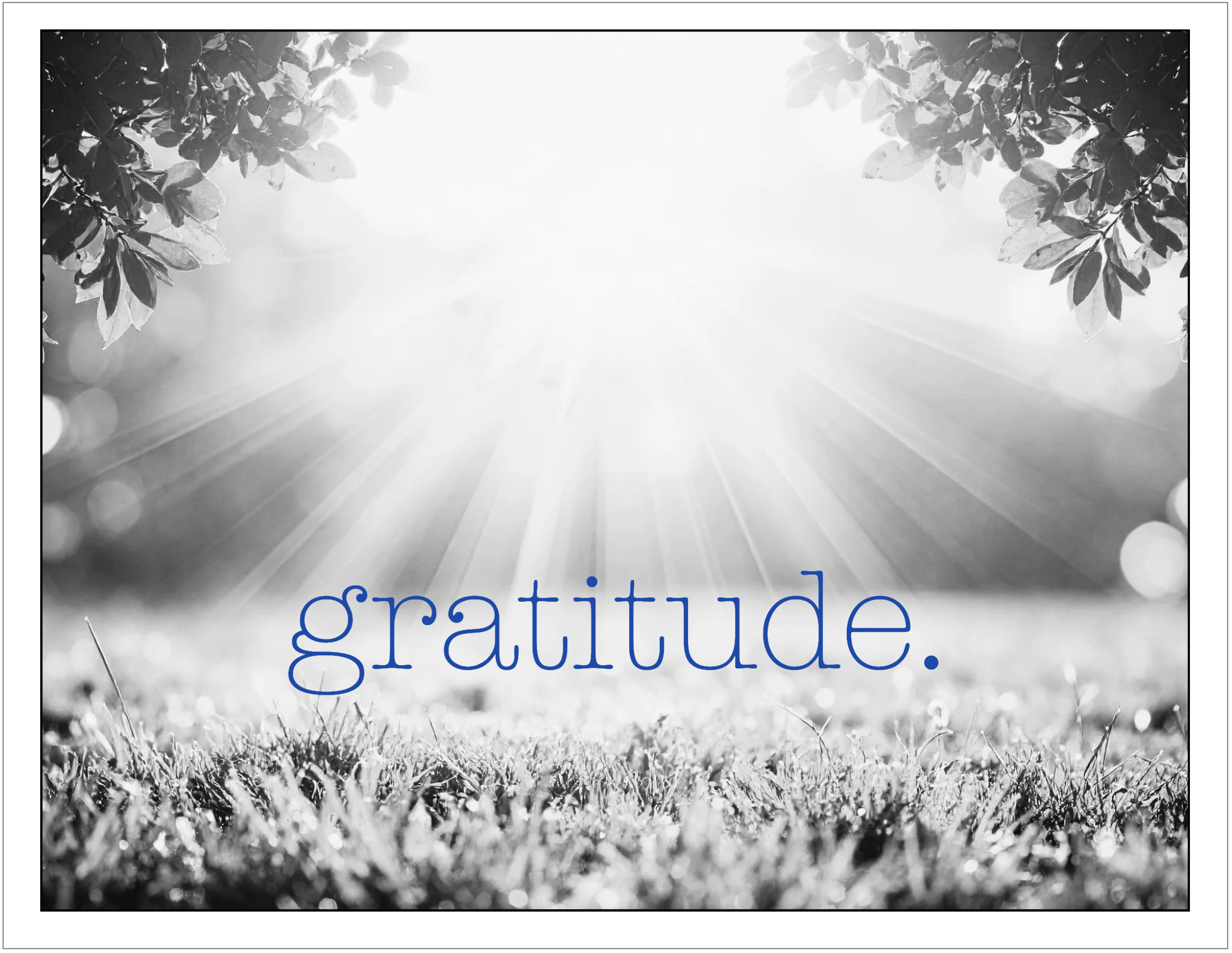 Image 7-4-26 at 3.44 PM.png