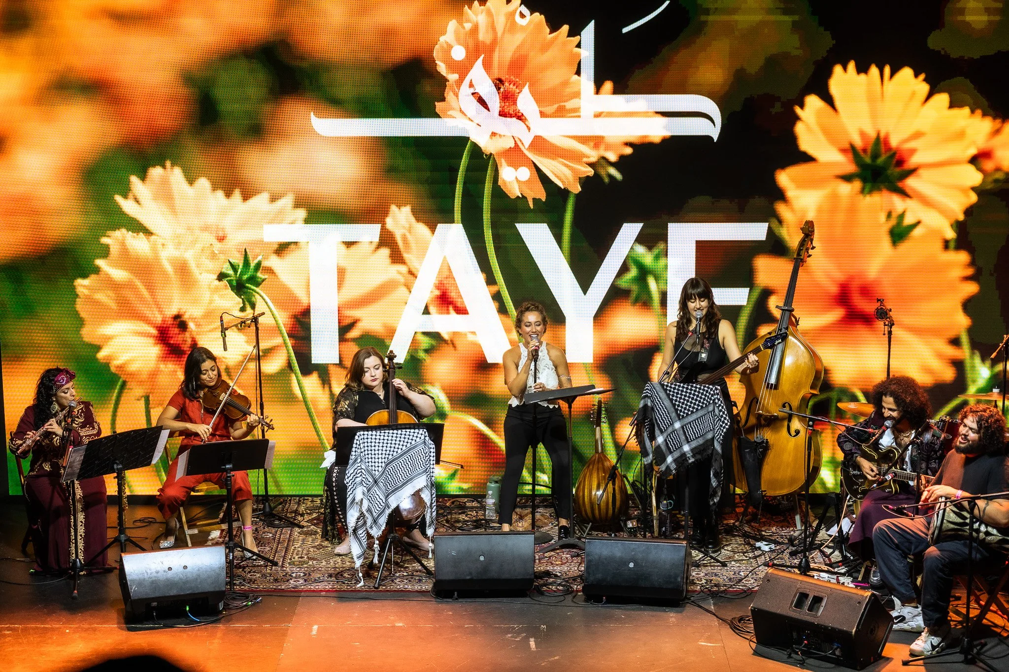 TAYF: From Ash to Bloom