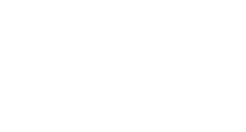 Mitre 10 logo