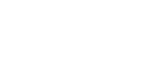 STYLERUNNER logo