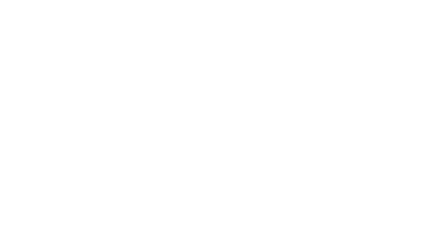 David Jones logo