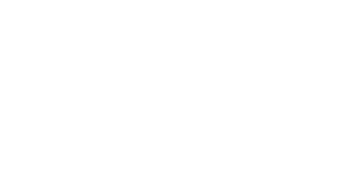 BOSS logo