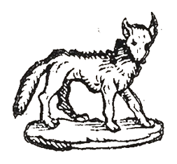 A detailed sketch of a wolf standing on a flat surface, facing slightly to the right.
