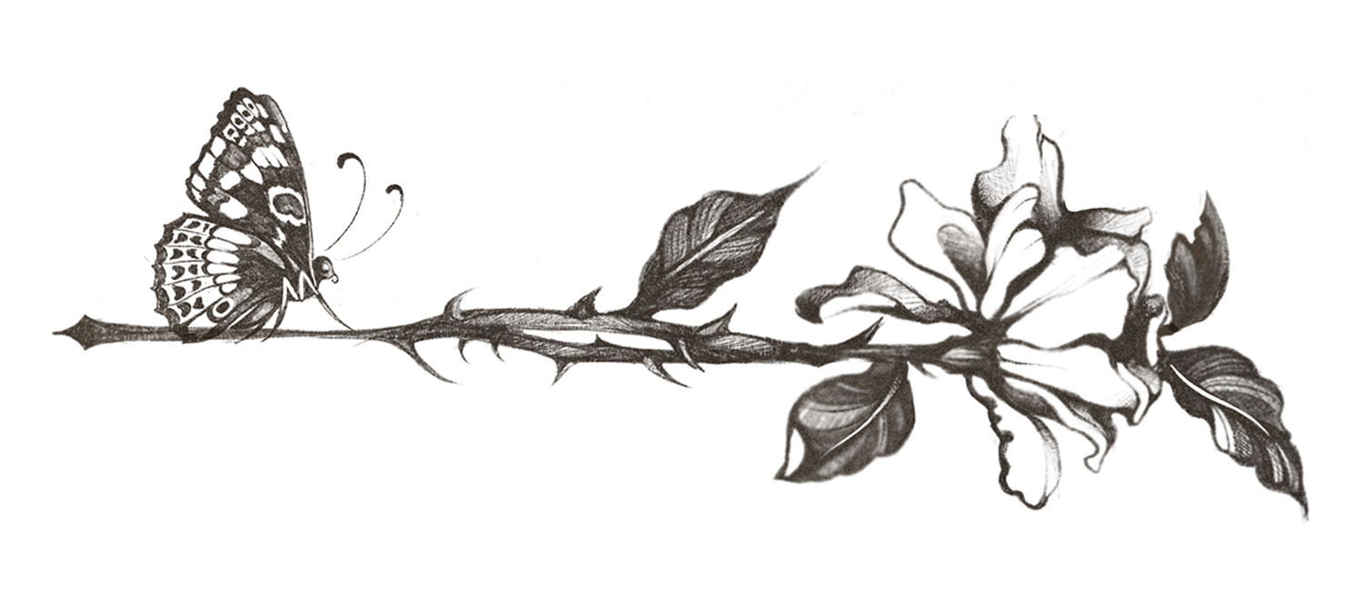 Silhouette of a single rose with leaves and a bloom on a transparent background.