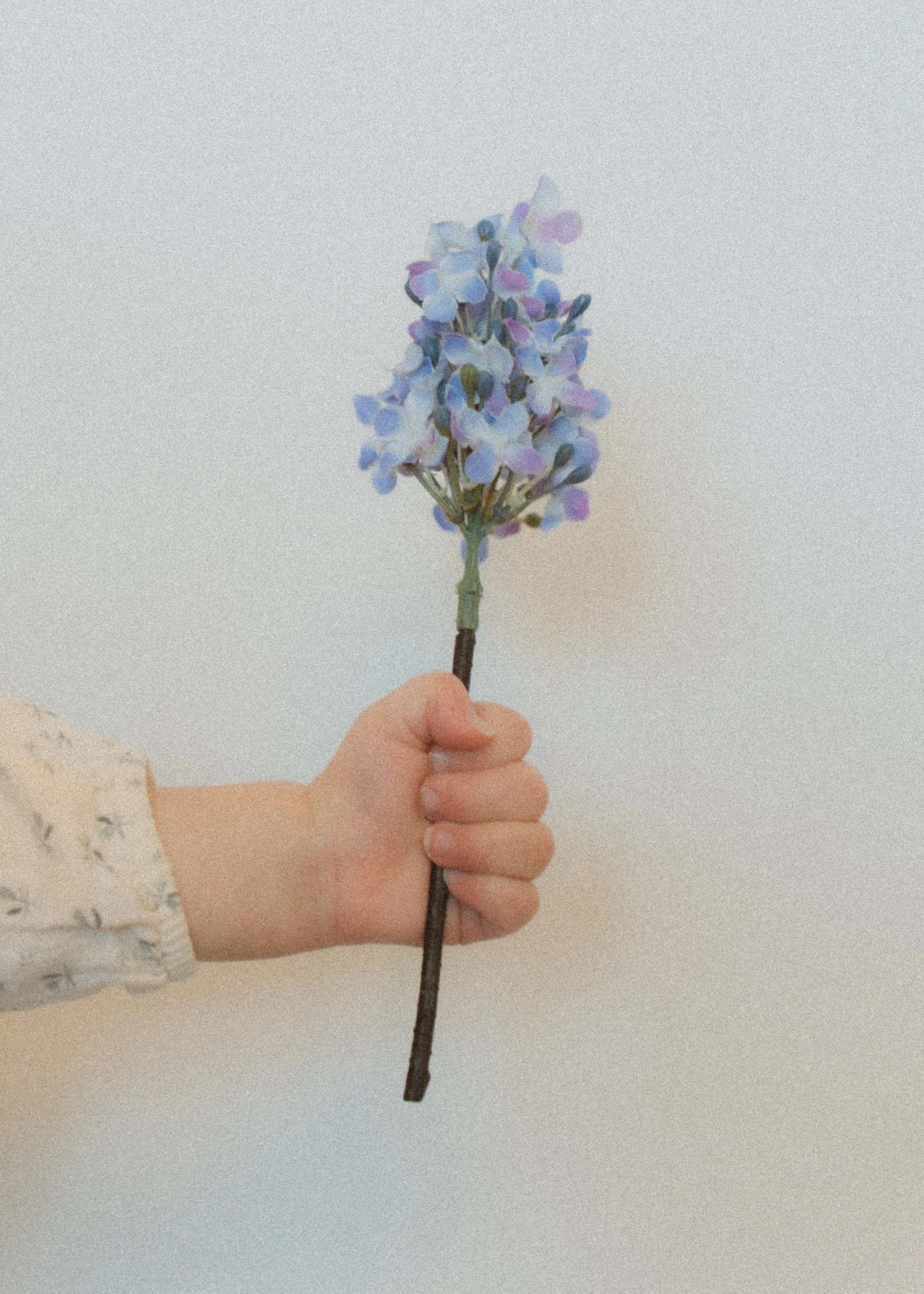 Lilac Mother Gathering