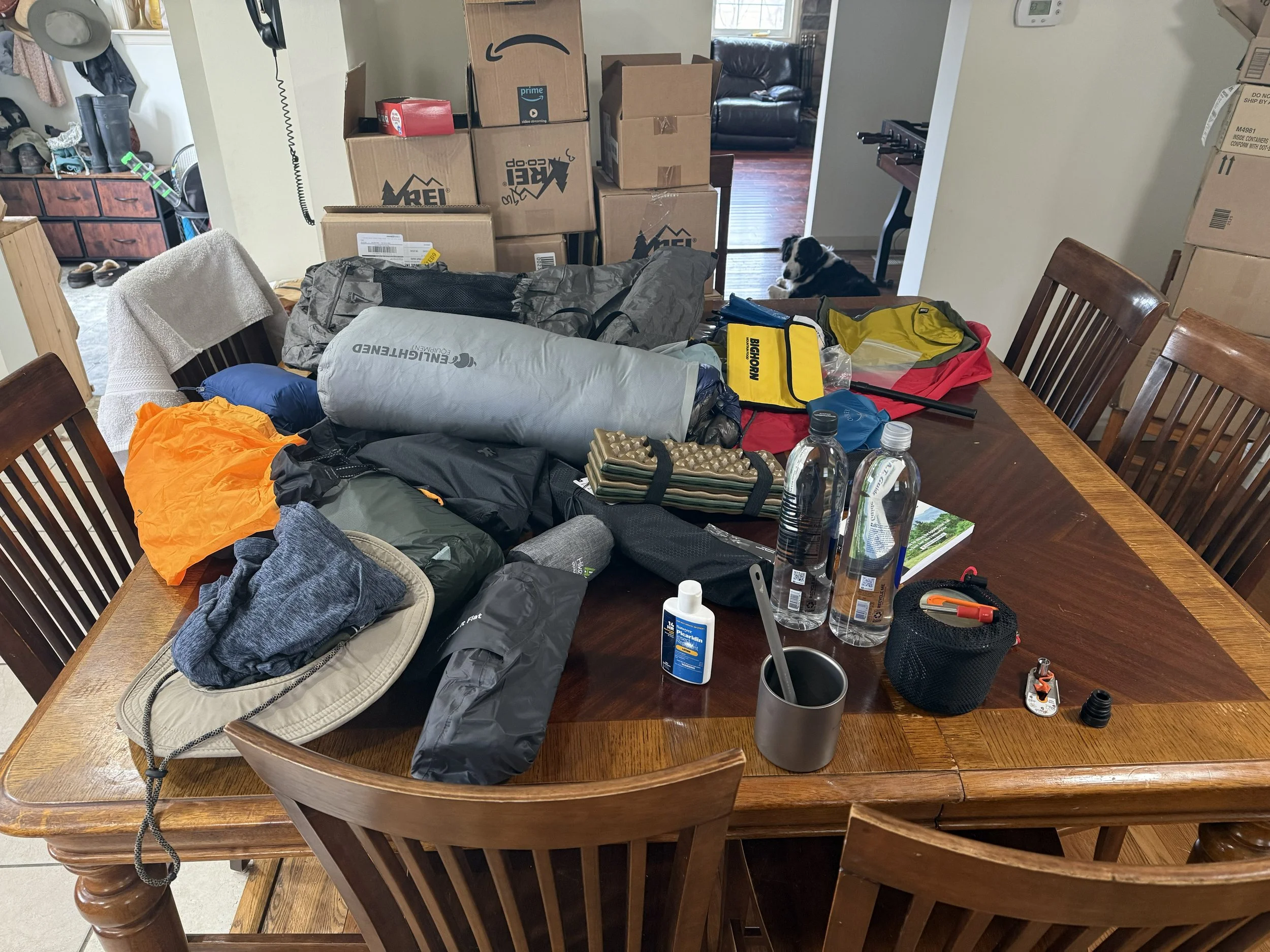 Jan 1 - Mar 18: The Prep Phase