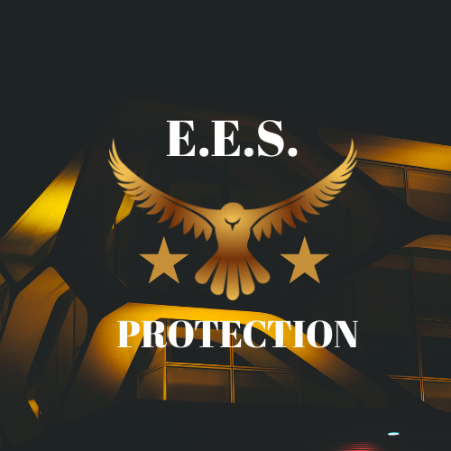 Eagle Eye Security Protection
