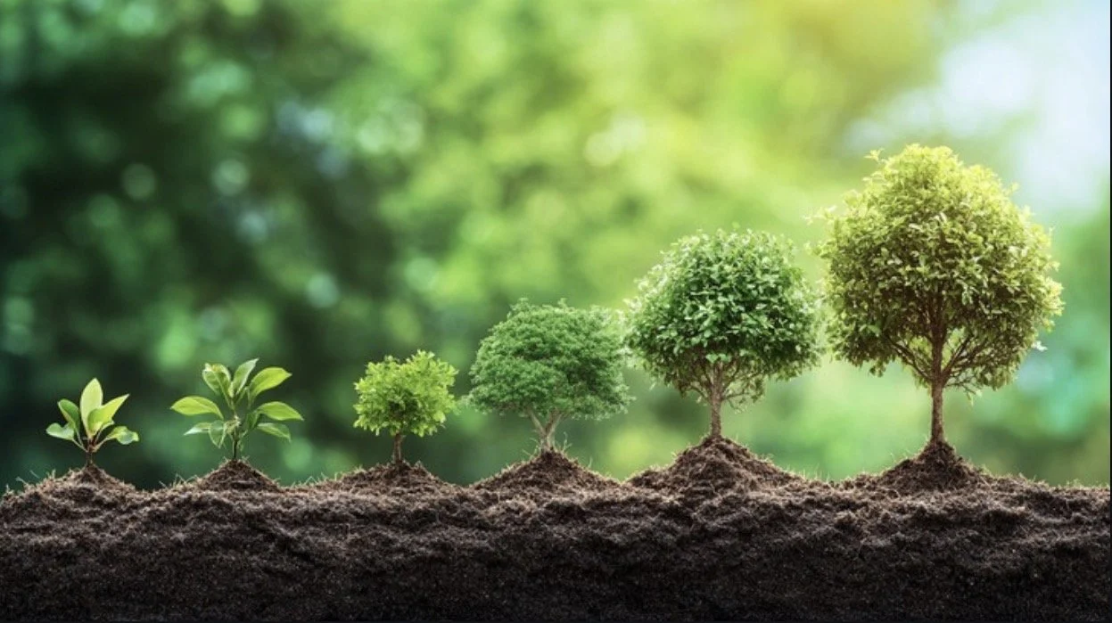 make room for growth