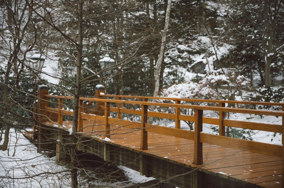 Wooden bridge over a wooded area with snow on trees and ground