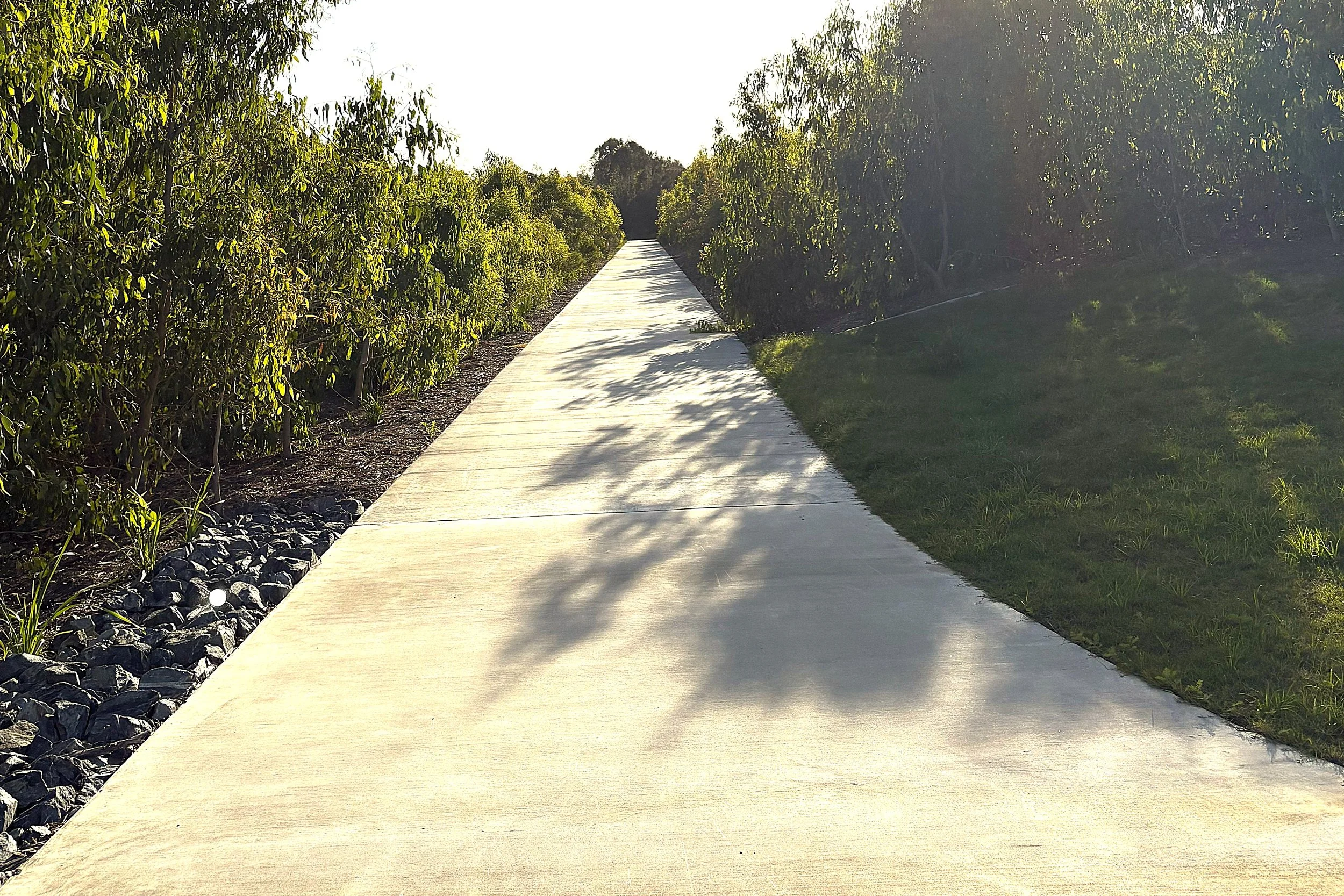 A concrete pathway through a lush, green outdoor area with trees and grass on both sides.