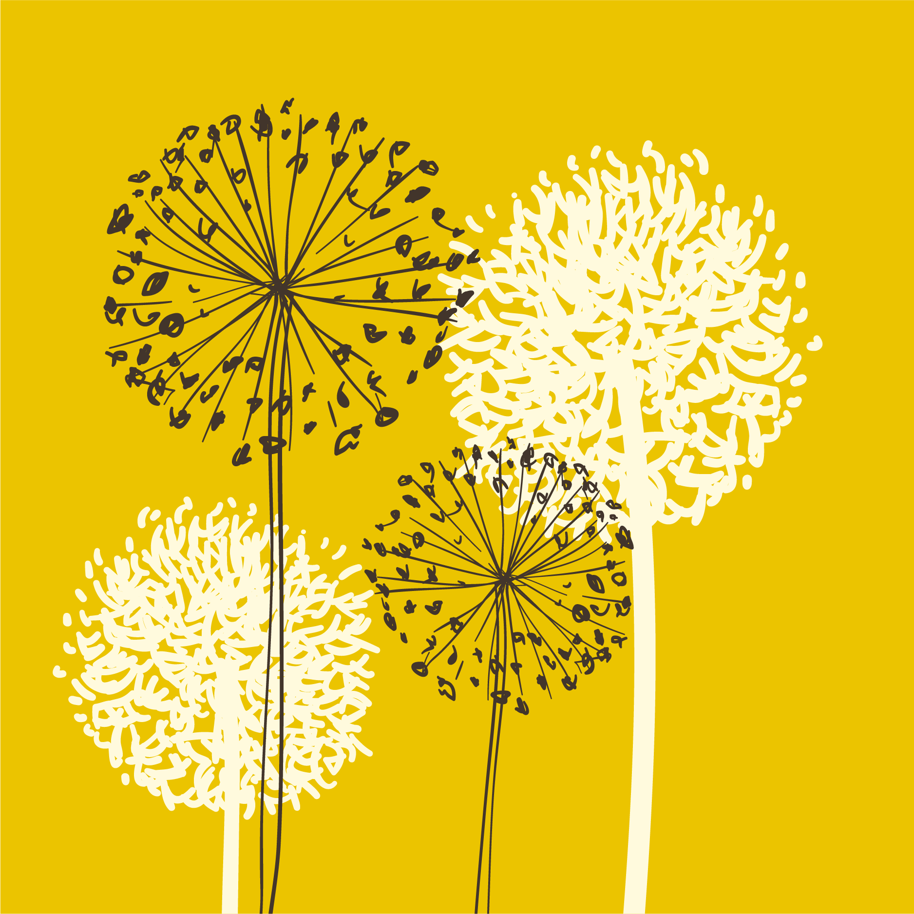 Illustration of three dandelion seed heads with black, white, and yellow backgrounds.