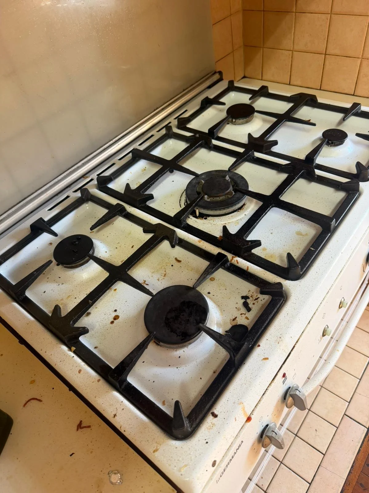 WhatsApp Image 2026-03-14 at 12.42.58 PM (2).jpeg