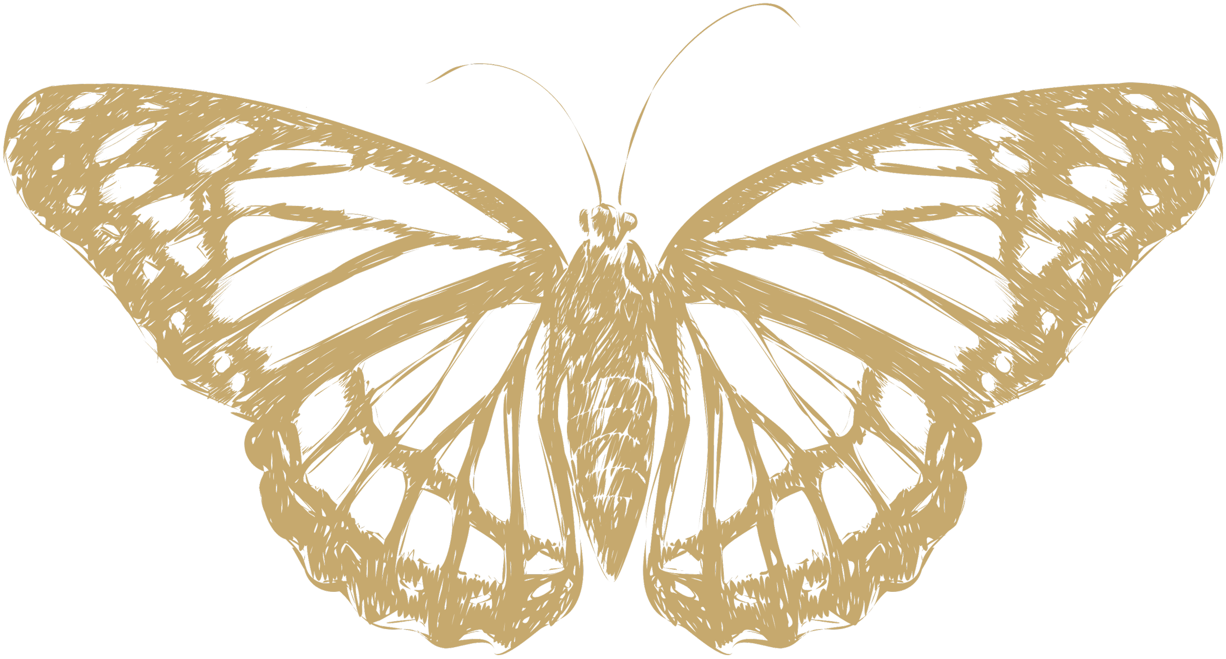 Line drawing of a butterfly in a beige color on a black background.
