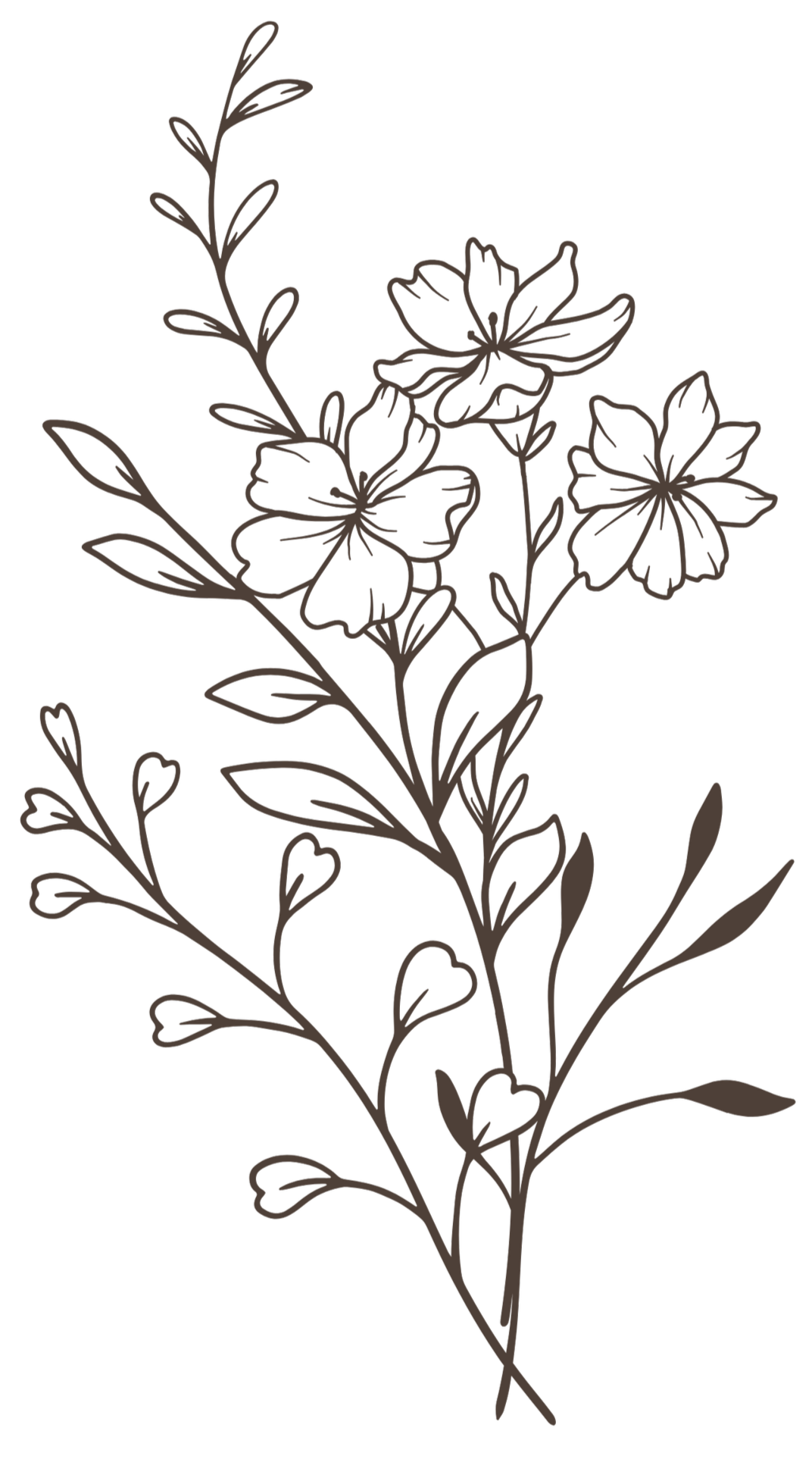 Floral bunch drawing picture