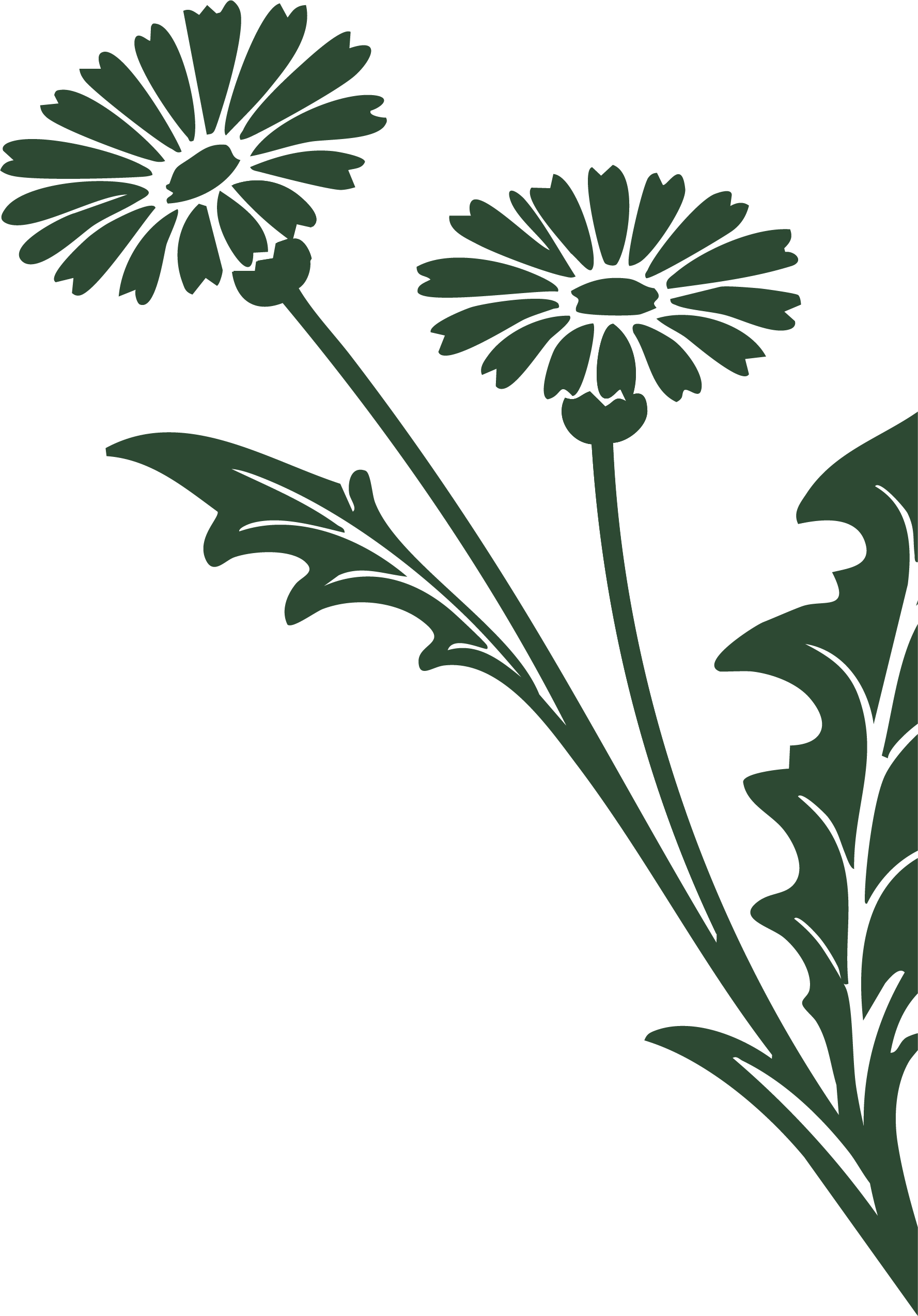 Illustration of green flowers with long stems and leaves on a black background.