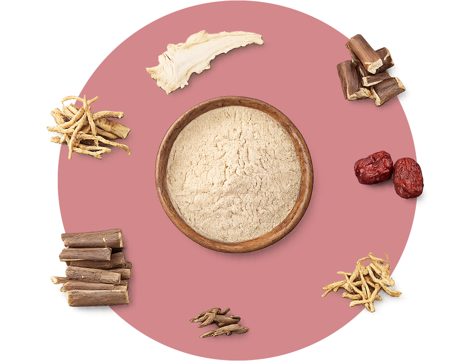 An arrangement of various herbs, dried roots, and berries surrounding a wooden bowl filled with powder on a pink surface.