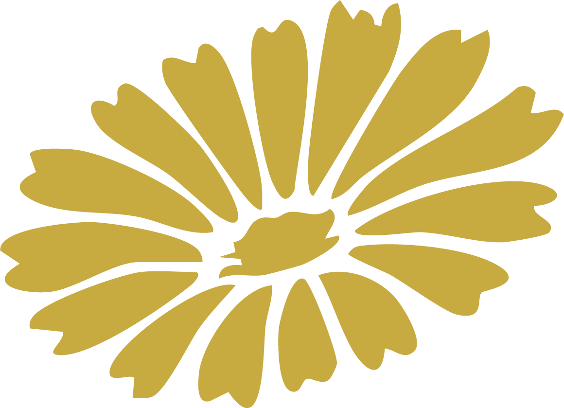A stylized, golden-yellow flower with multiple elongated petals radiating from a central point.