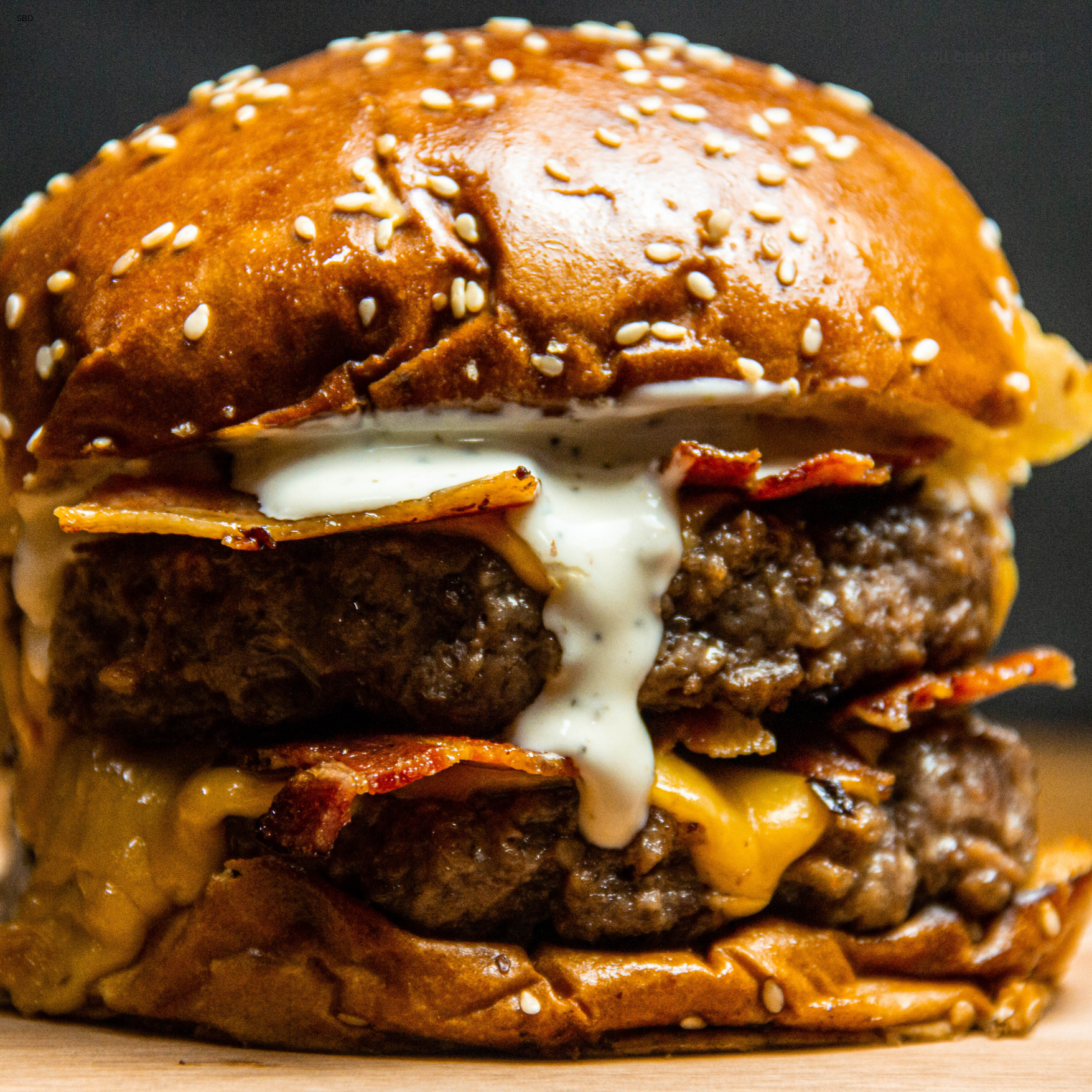 juicy burger (1).png
