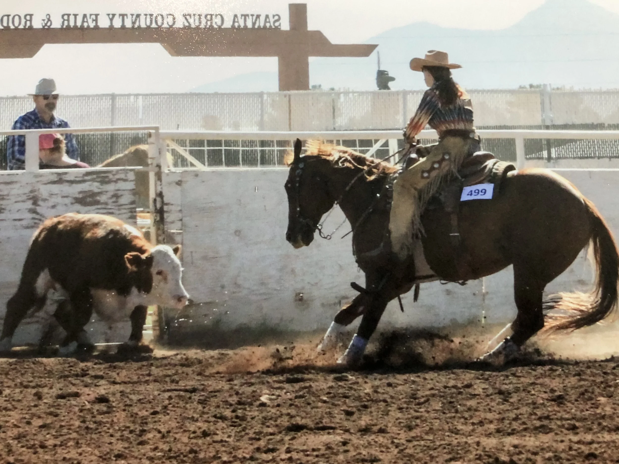 Workinga nasty cow with my main man presley