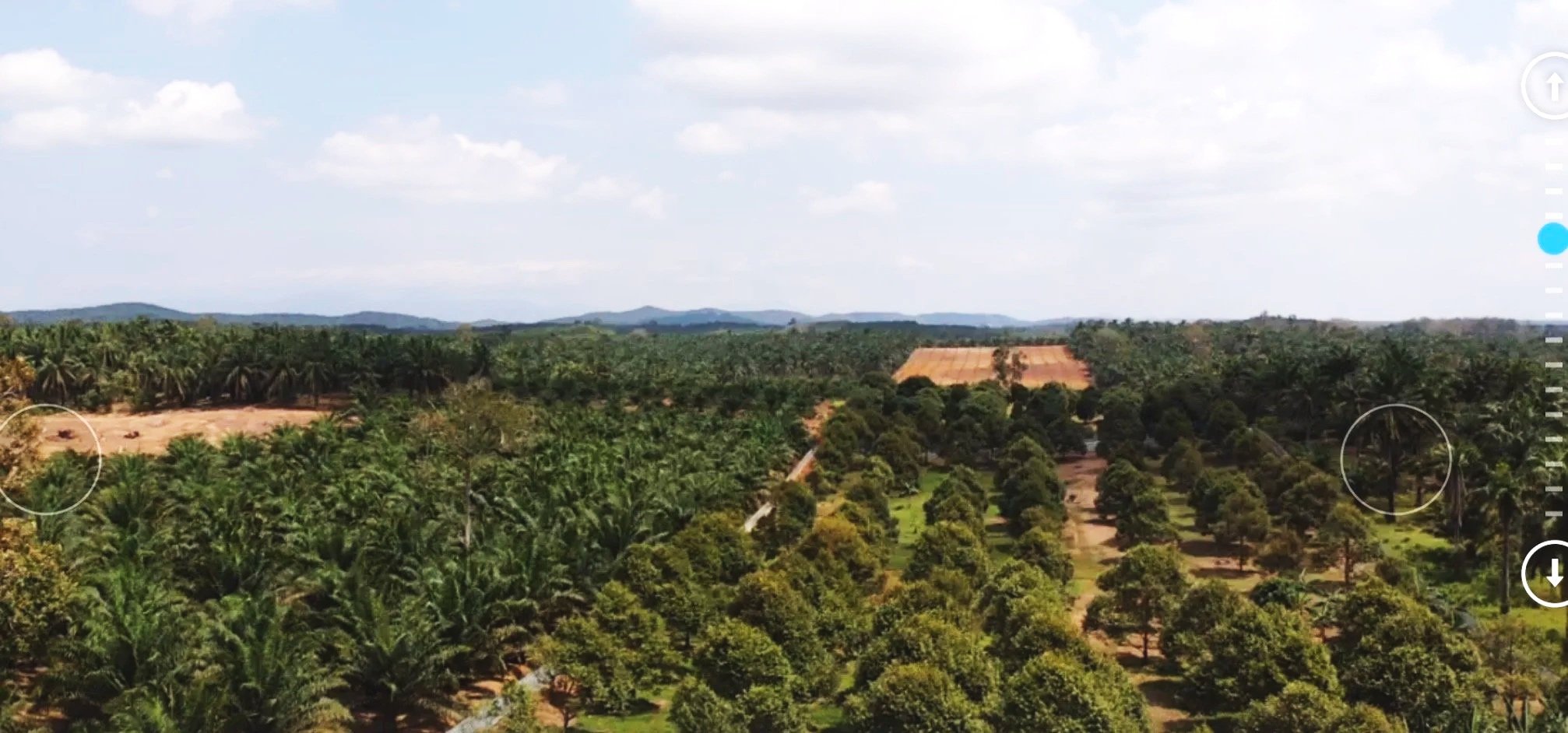 A landscape with dense green trees, a clear blue sky with some clouds, and hills in the distance. There is a large orange-roofed building partially visible among the trees.