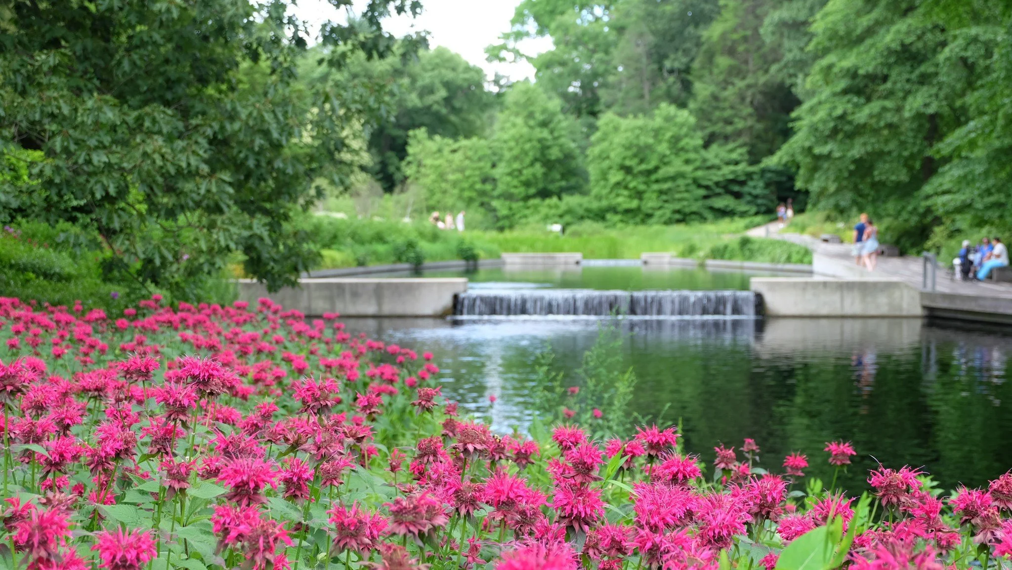 Obsessed with Natural Beauty…