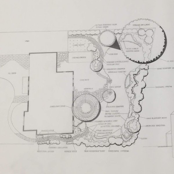 Planting Design & Consulting