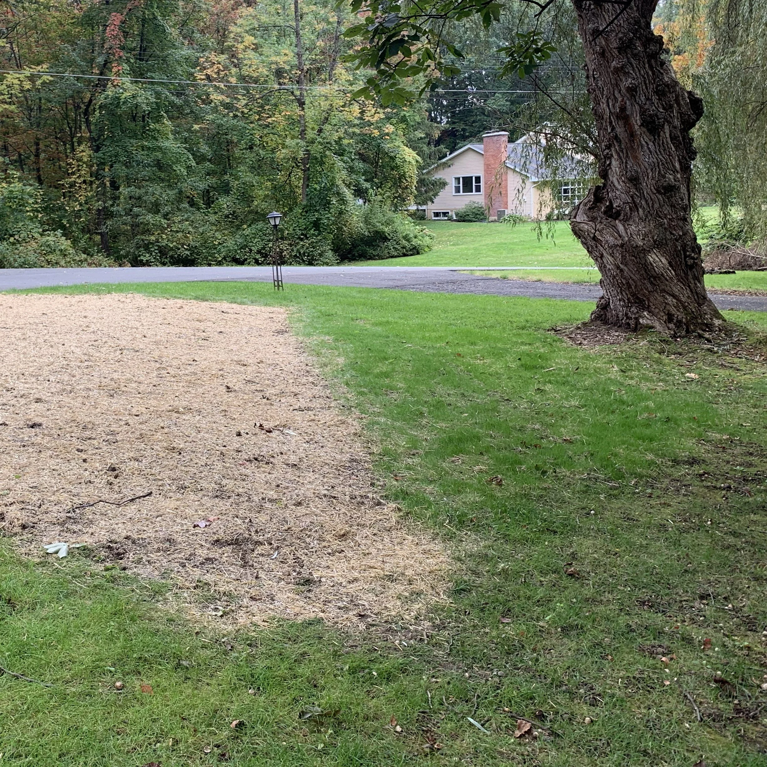 Lawn Care That Cares Environment