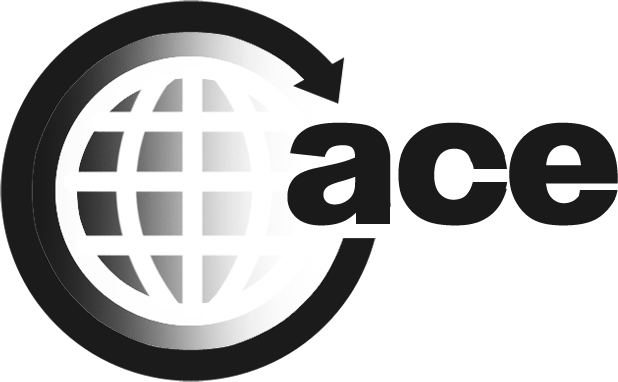 Logo featuring a globe with grid lines, encircled by a stylized arrow, and the word 'adobe' in lowercase letters.