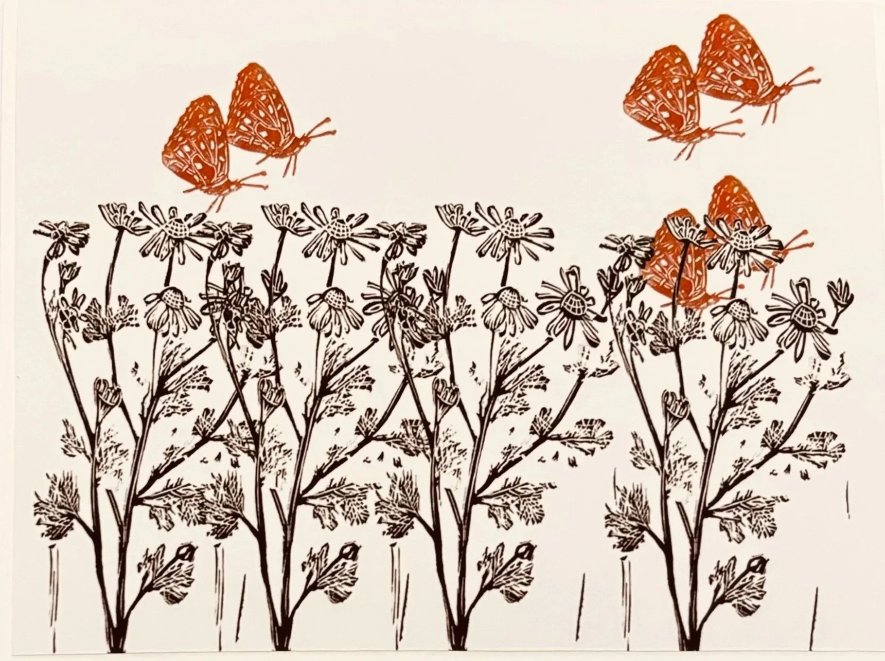 4x6 Chamomile & Butterflies Card