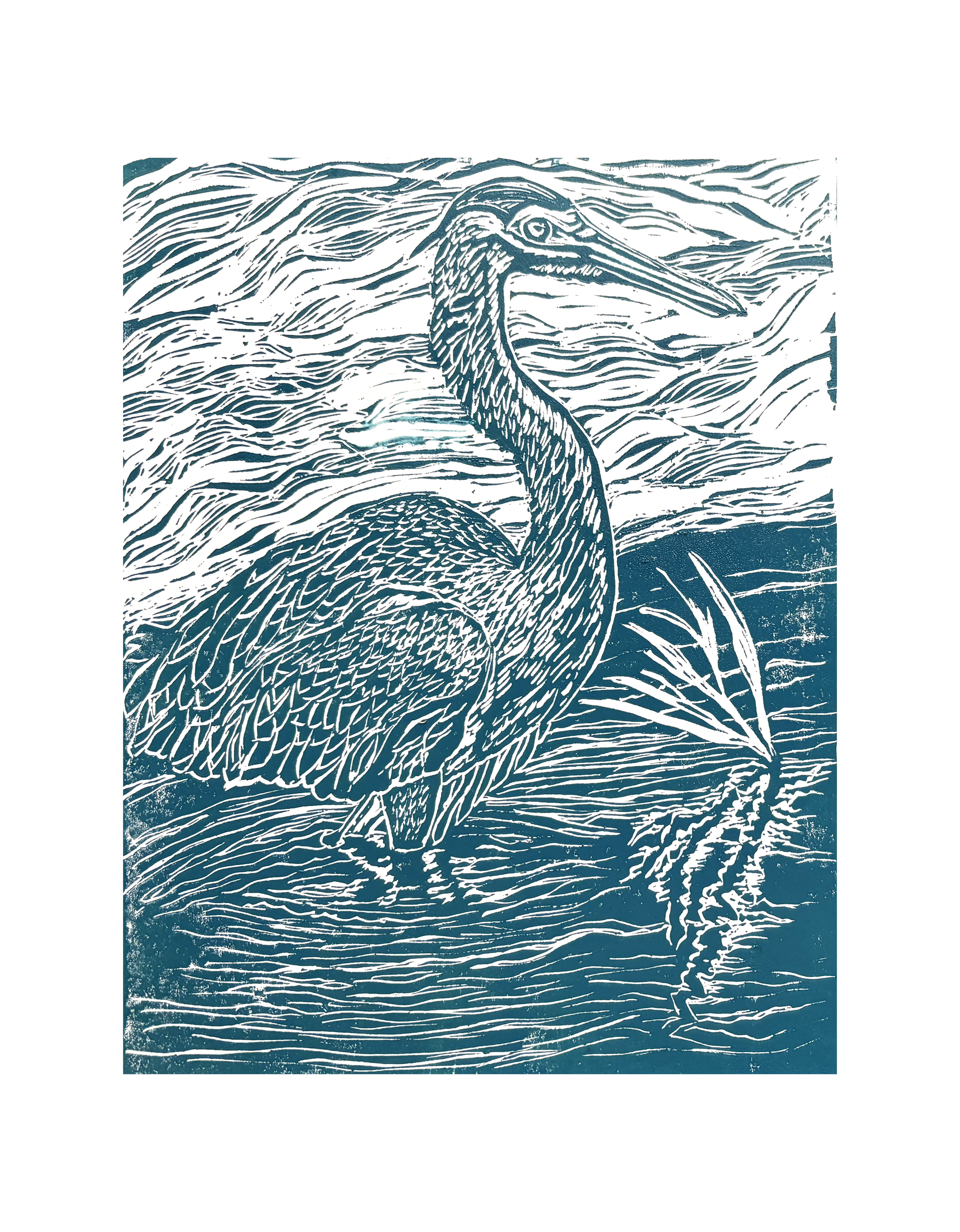 IMG_2225.png