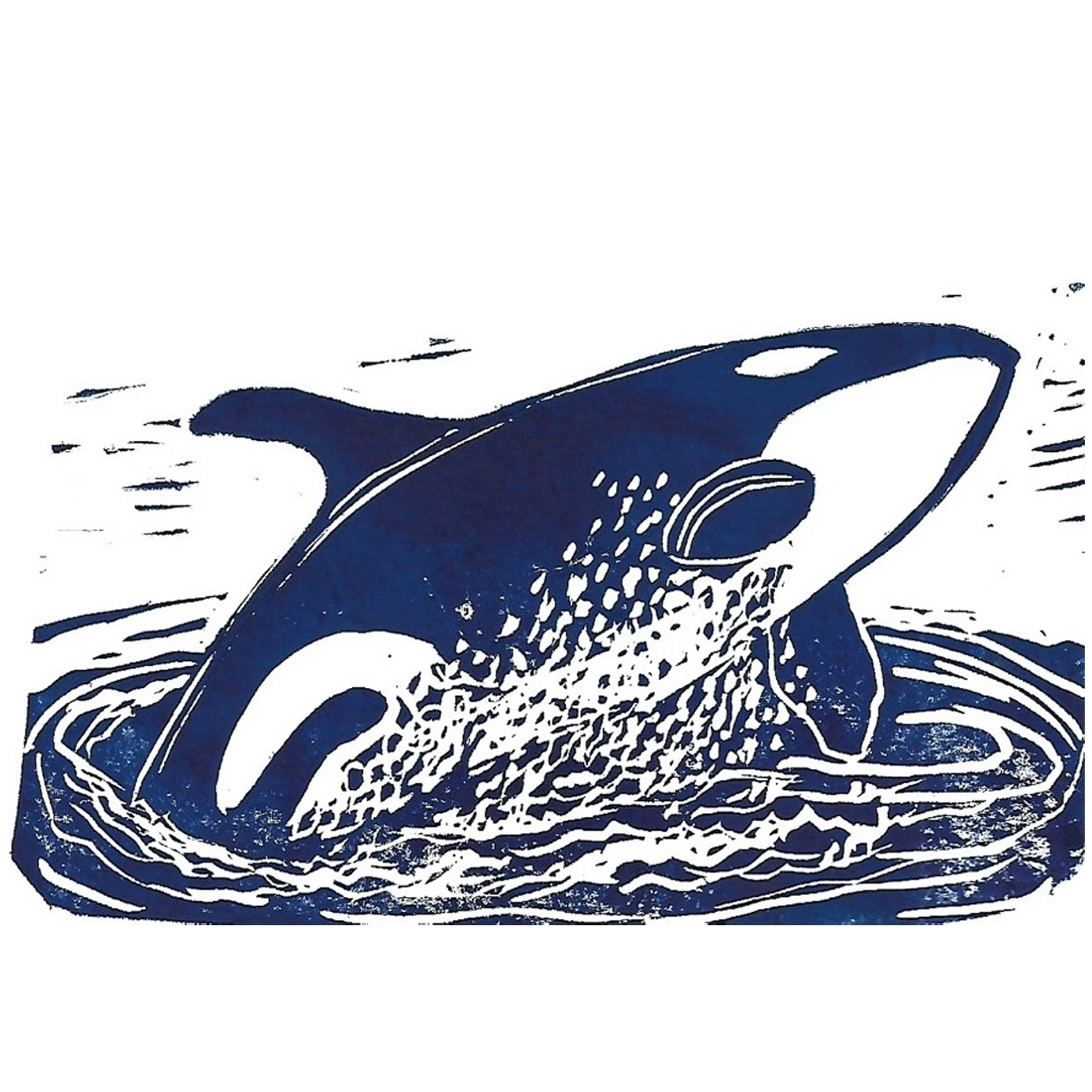 Whale in Water 4x6 Card