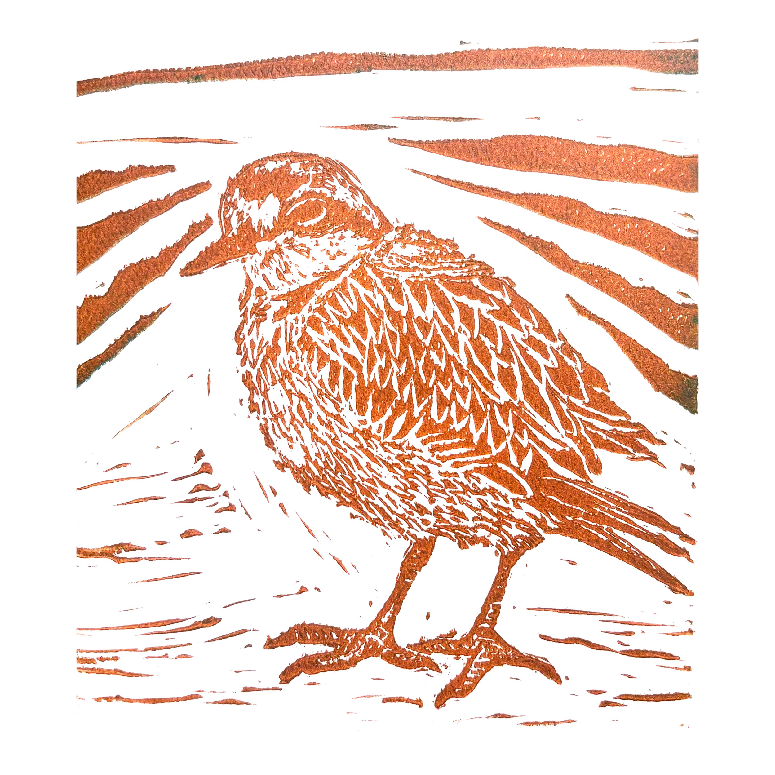 6x9 Plover Block Print