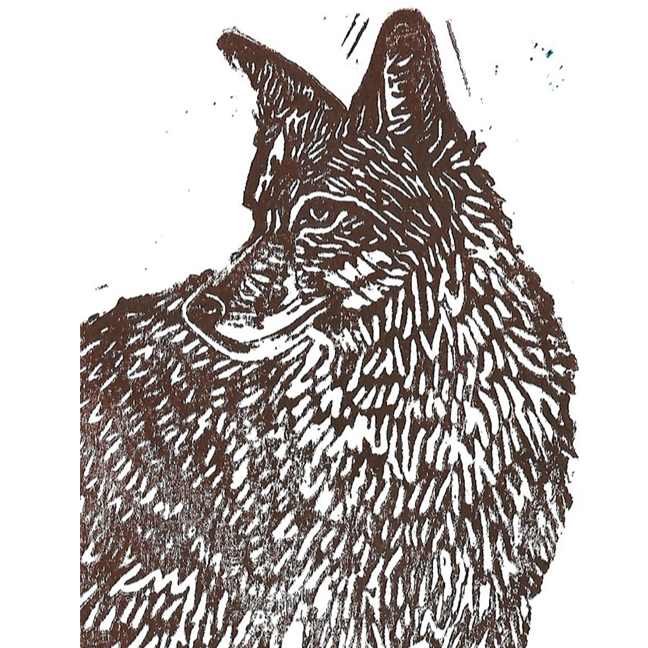 5x7 Coyote Card