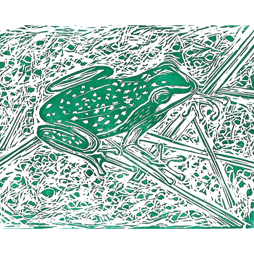 6x9 Tree Frog Block Print